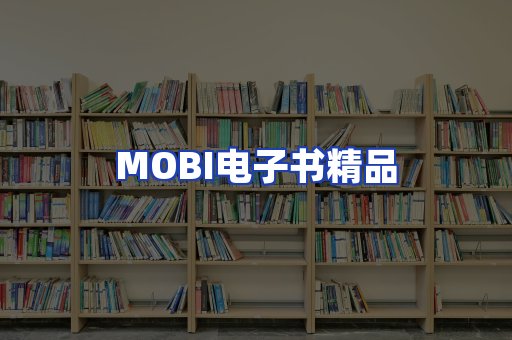 外文电子书产品